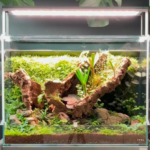 gerhard Terrarium