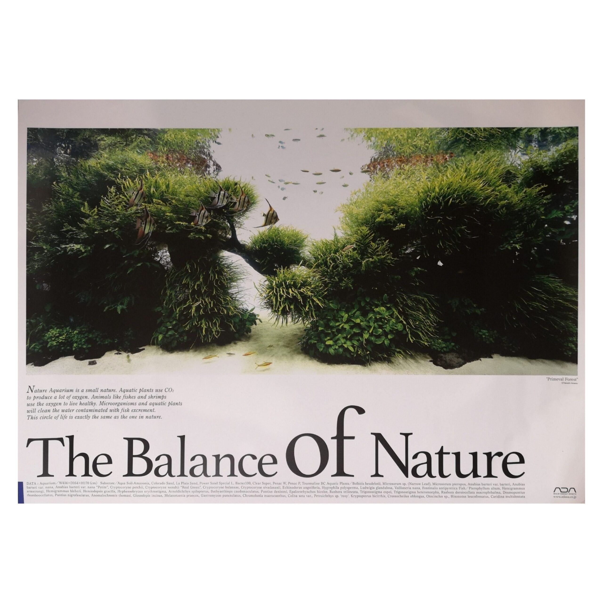 ADA-Balance-of-Nature-Poster-2.jpg