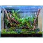 DOOA System Paluda – Bild 2