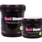 GlasGarten - Snail Dinner