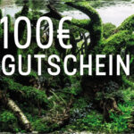 100€ Geschenkgutschein - OnlineShop