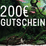 200€ Geschenkgutschein - OnlineShop