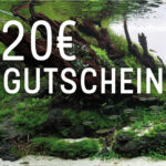20€ Geschenkgutschein - OnlineShop