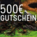500€ Geschenkgutschein - OnlineShop