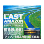 ADA The Last Amazon