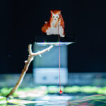 Anglerkatze – Bild 3