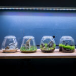Bioloark Bubble Cup – Bild 2