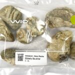 Wio Nano Boulder - Elderly / Alpin Stone