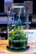 DOOA Cell – Bild 2