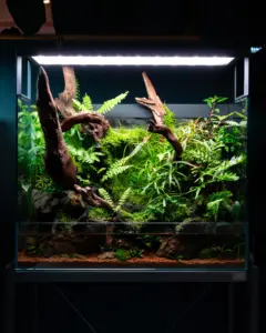 UNS Foresta Paludarium – Bild 2