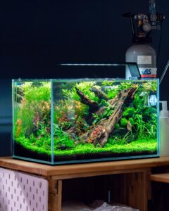 Aquascaping Beginner Set: Liquid Garden 40P – Bild 2