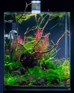 Me My Tank Cube – Bild 4