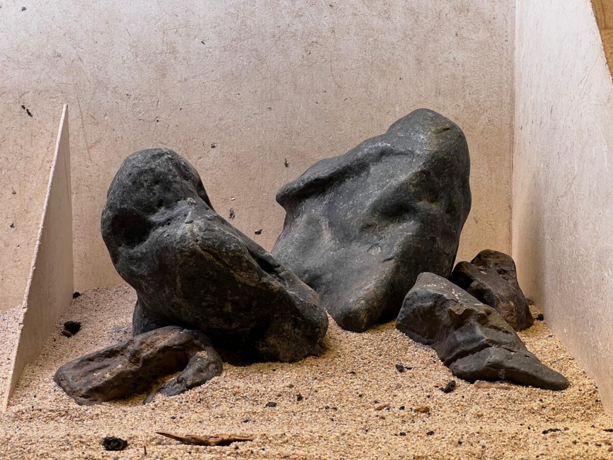 Hardscape - Vorschlag A- Hakkai Iwagumi - ab 35 - 80 Liter – Bild 1