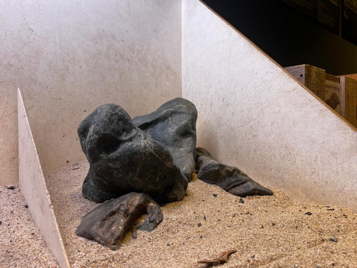 Hardscape - Vorschlag A- Hakkai Iwagumi - ab 35 - 80 Liter – Bild 3