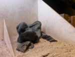 Hardscape - Vorschlag A- Hakkai Iwagumi - ab 35 - 80 Liter – Bild 3