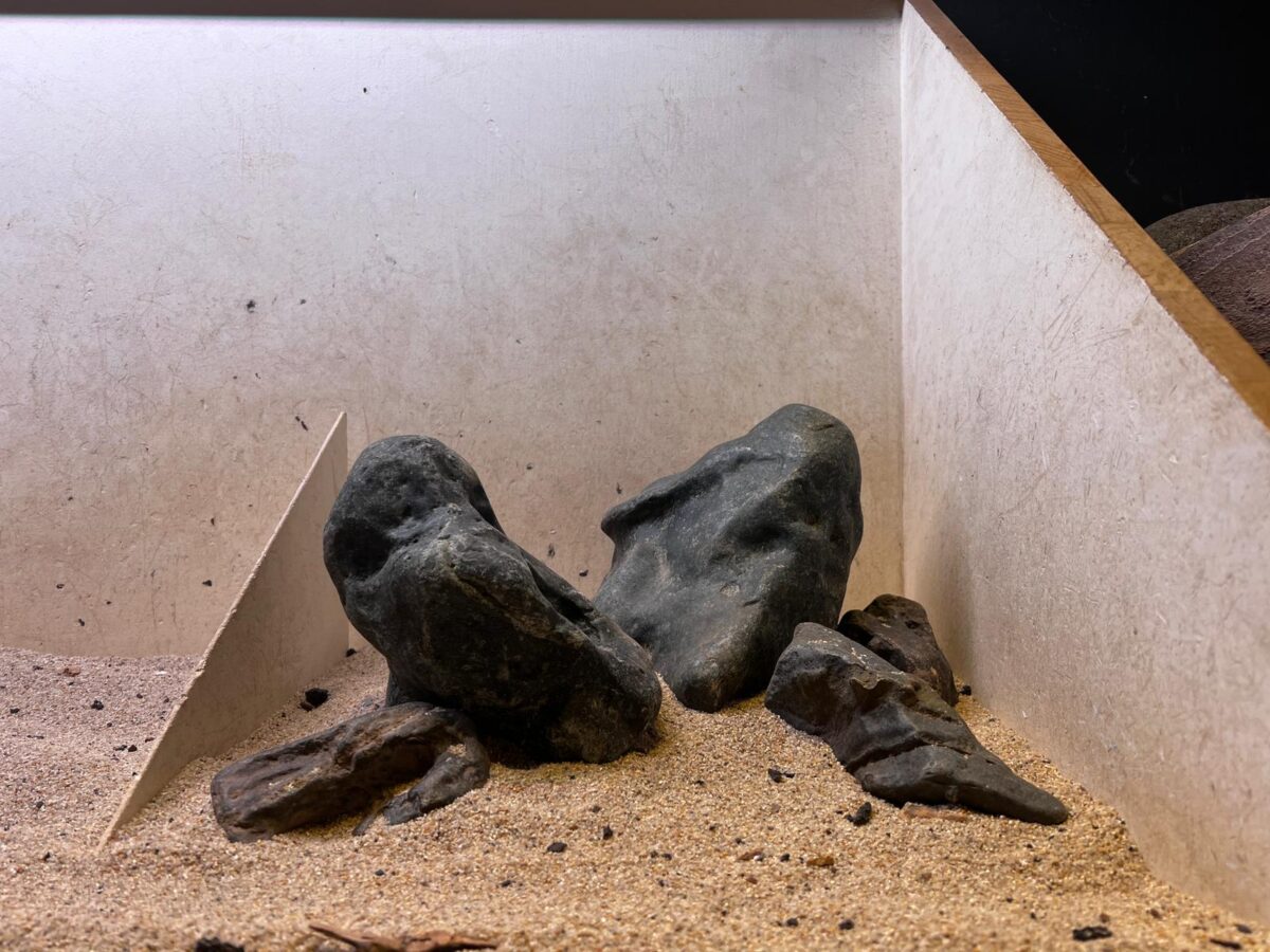 Hardscape - Vorschlag A- Hakkai Iwagumi - ab 35 - 80 Liter – Bild 2