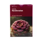 AquaArt VivoVerde Micro Terrarium – Bild 4