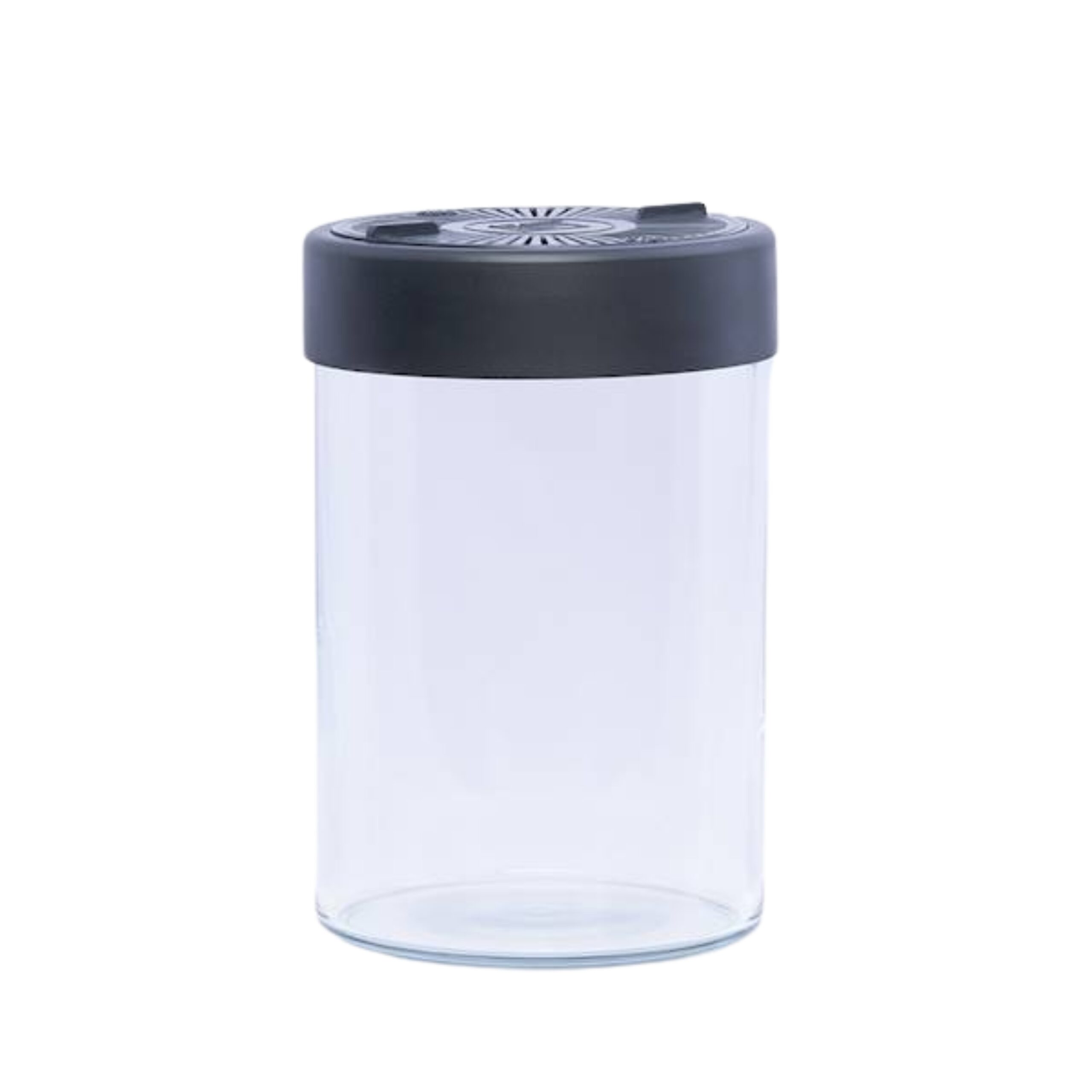 AquaArt_VivoVerde_Microterra_stock AquaArt VivoVerde Micro Terrarium – Bild 1