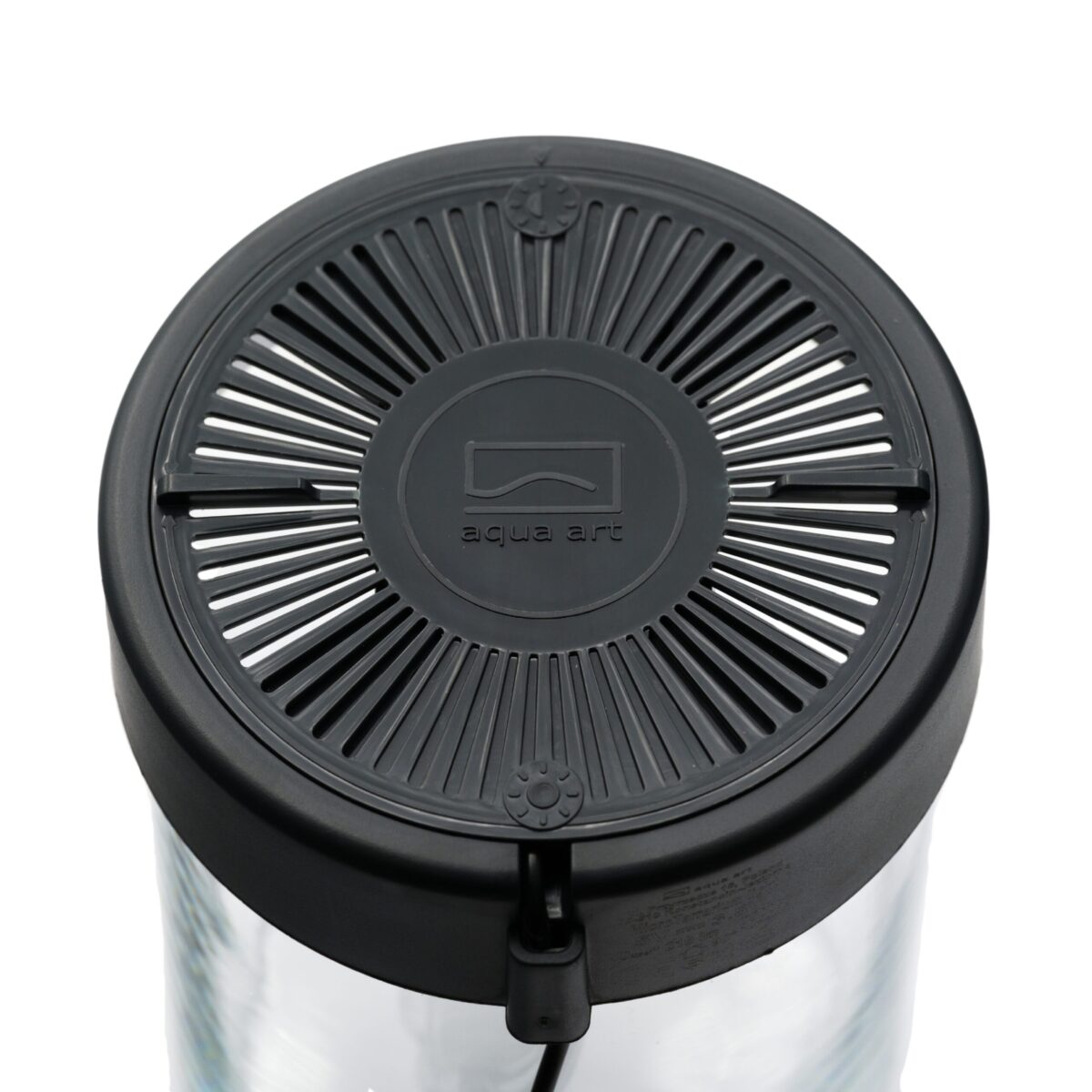 AquaArt VivoVerde Micro Terrarium – Bild 2