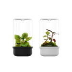 Bioloark - Luji Glass Cup MH