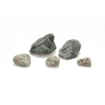 ADA Gatto Stone Box - 8kg