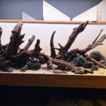 Hardscape - Vorschlag A - für 150P