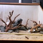 Hardscape - Vorschlag F - 80 - 100 cm