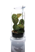 DOOA Light Stand Z – Bild 2