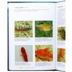 Aquarium Münster Praktischer Bildatlas der Fischkrankheiten – Bild 2