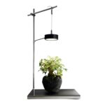 ONF x ANA Stainless LIGHT Stand Set