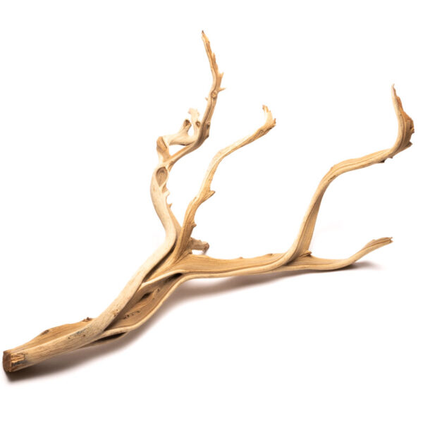 Ghostwood - Large (L)