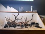 Hardscape - Vorschlag B - 120P / Juwel Rio 240