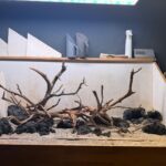 Hardscape - Vorschlag F - 120P / Juwel Rio 240