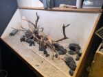 Hardscape - Vorschlag B - 120P / Juwel Rio 240 – Bild 3