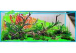 Hardscape - Vorschlag B - 120P / Juwel Rio 240 – Bild 4