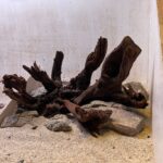 Hardscape - Vorschlag A - 45P