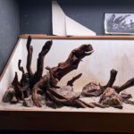 Hardscape - Vorschlag B - 100P