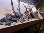 Hardscape - Vorschlag C - 150cm – Bild 8