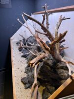 Hardscape - Vorschlag C - 150cm – Bild 7