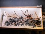Hardscape - Vorschlag C - 150cm – Bild 4