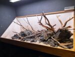 Hardscape - Vorschlag C - 150cm – Bild 3