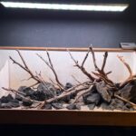 Hardscape - Vorschlag C - 150cm