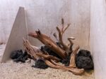 Hardscape - Vorschlag G - 45P – Bild 3