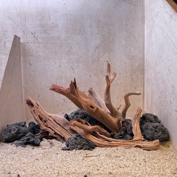 Hardscape - Vorschlag G - 45P