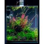 Me My Tank Aquarienset 60L – Bild 2