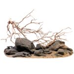 Manzanita Wood – Bild 2
