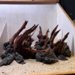 Hardscape - Vorschlag B - 60P