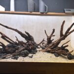 Hardscape - Vorschlag D - 120P