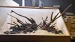 Hardscape - Vorschlag D - 120P