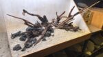Hardscape - Vorschlag D - 120P – Bild 2